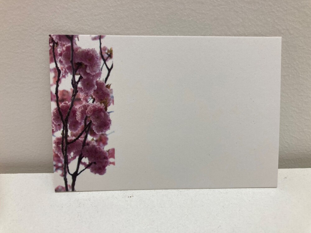 Pink Flower Card
