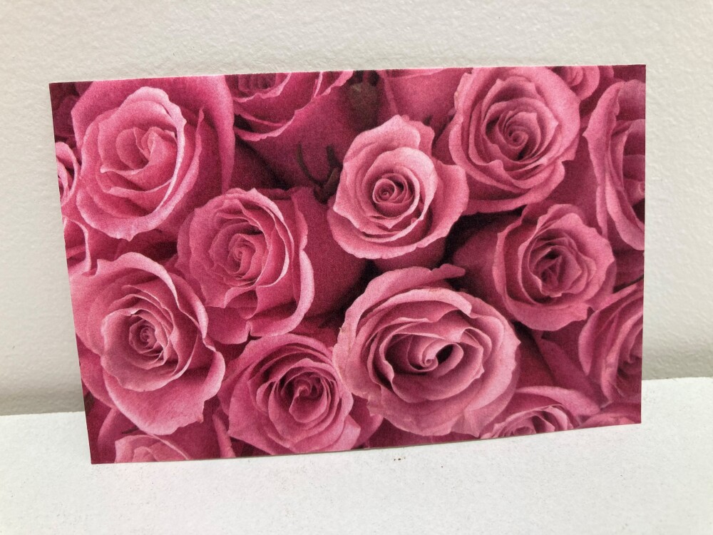 Pink Roses Card